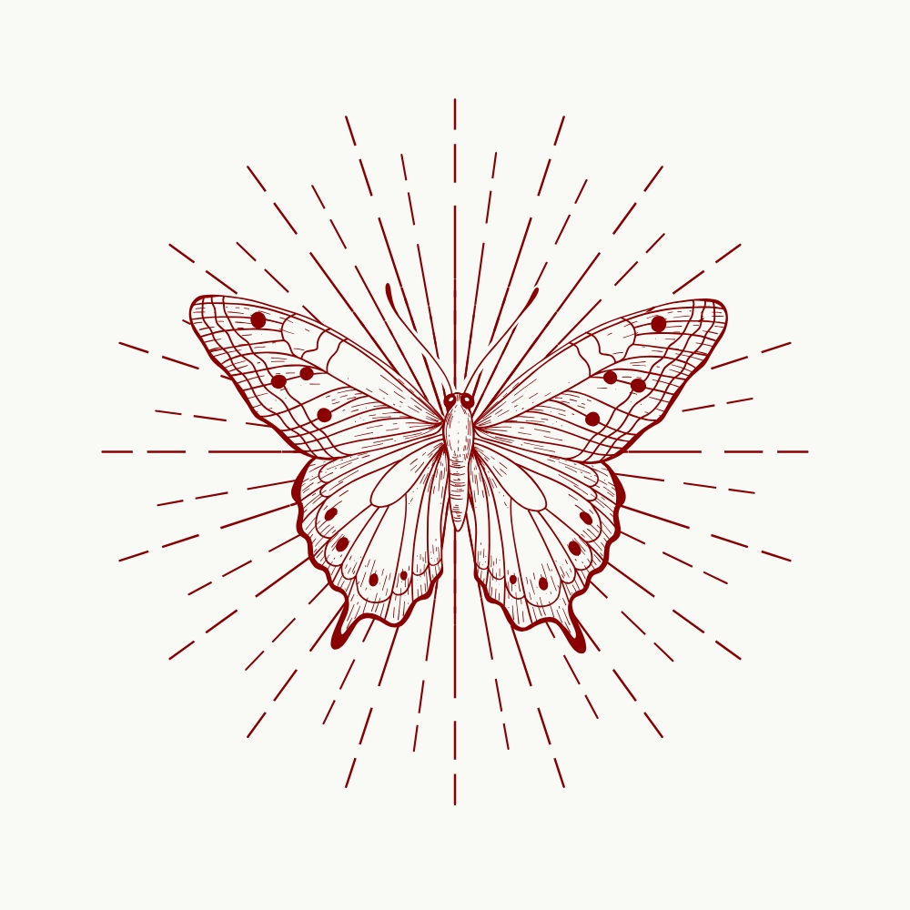 The Angels of The Cocoon 2026